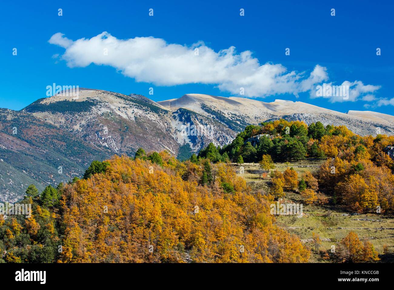 Parque Natural Cadi-Moixero Vansa i Fornols Valley, el Alt Urgell ...