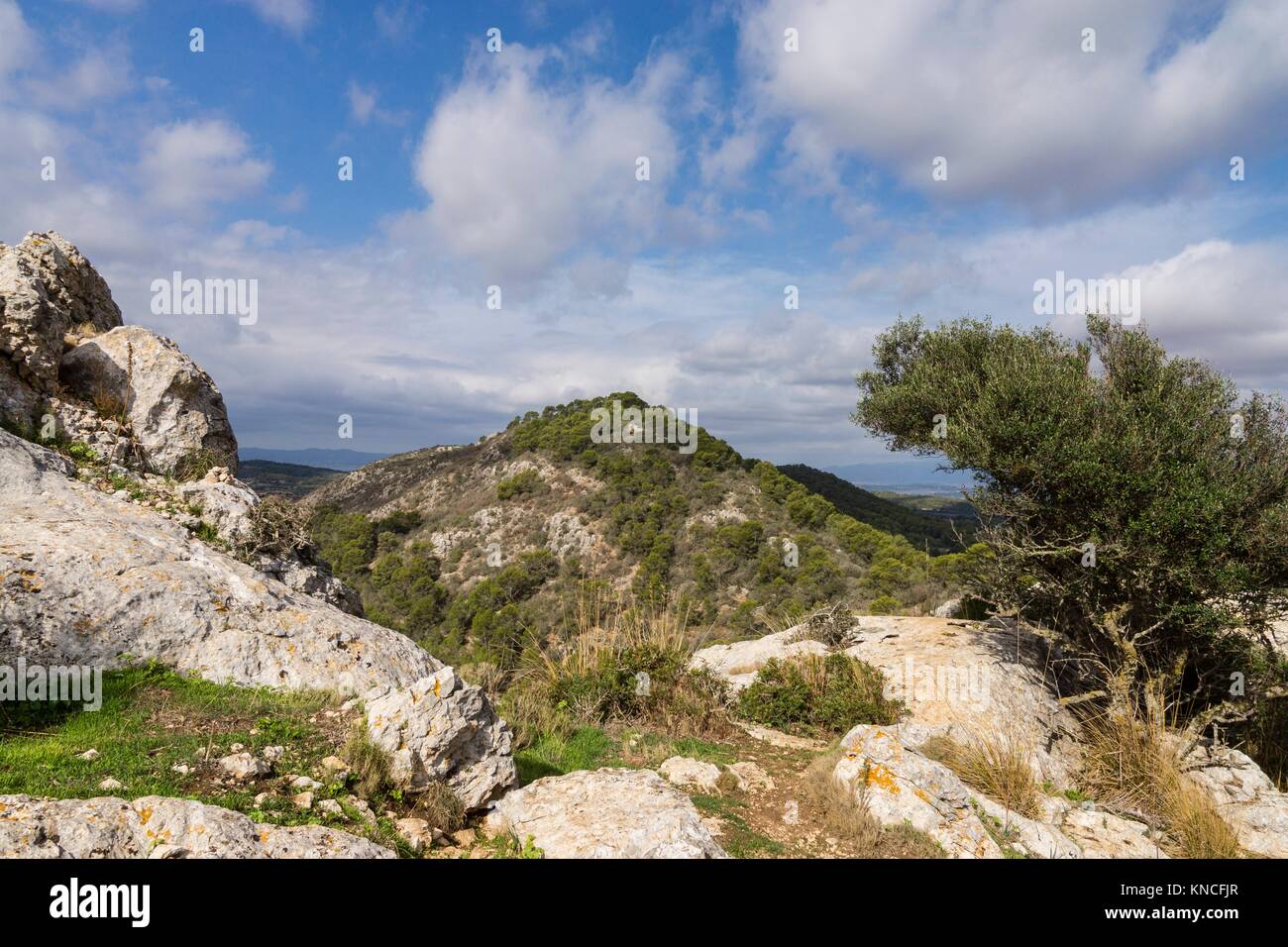 Sierra de Galdent, Llucmajor, Mallorca, Islas Baleares, España Fotografía  de stock - Alamy