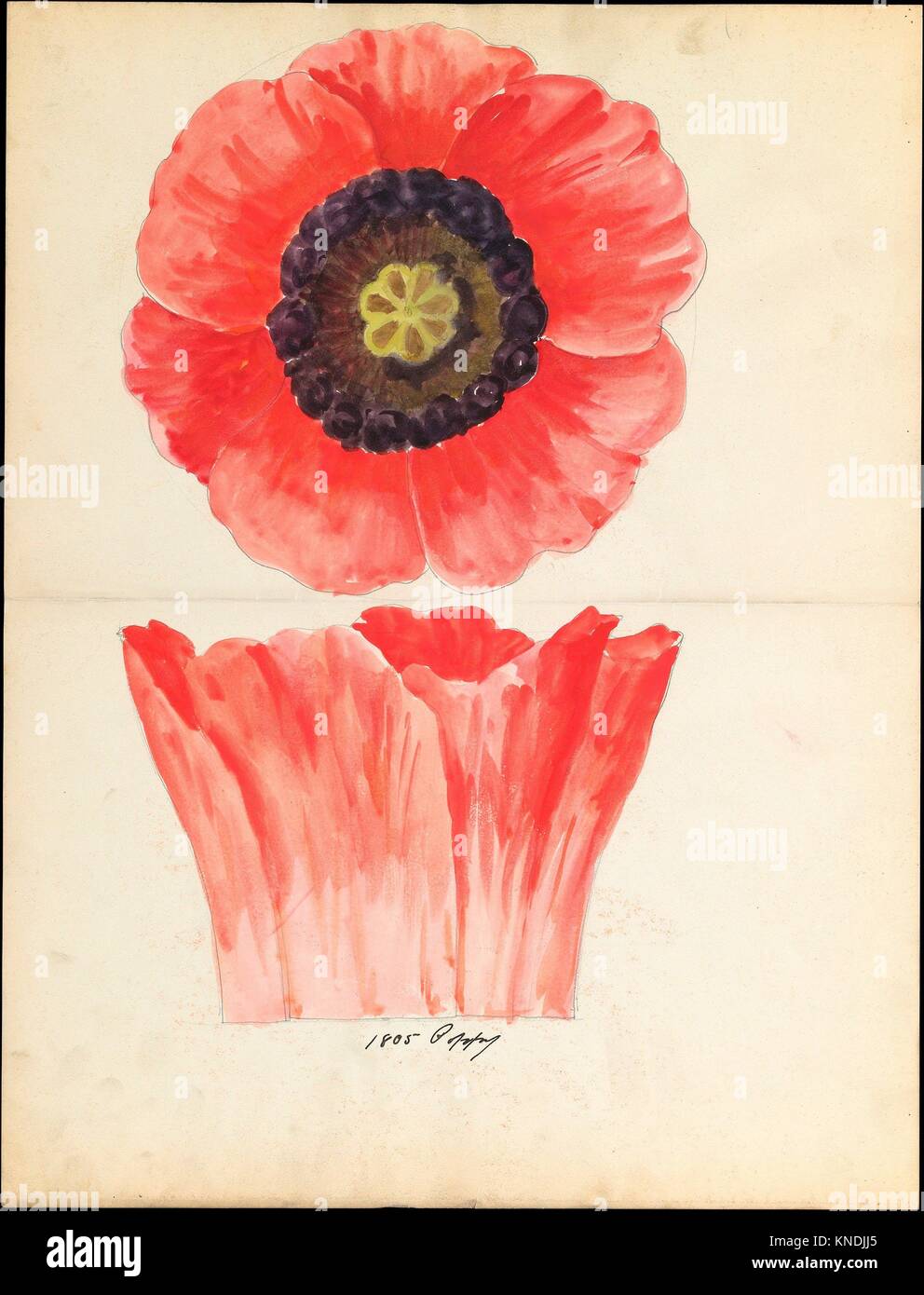 Diseño de flor de adormidera de capital floral de loggia, Laurelton Hall. Maker: Lenox, Incorporated (creado en 1889); Fecha: ca. 1900-1915; Foto de stock