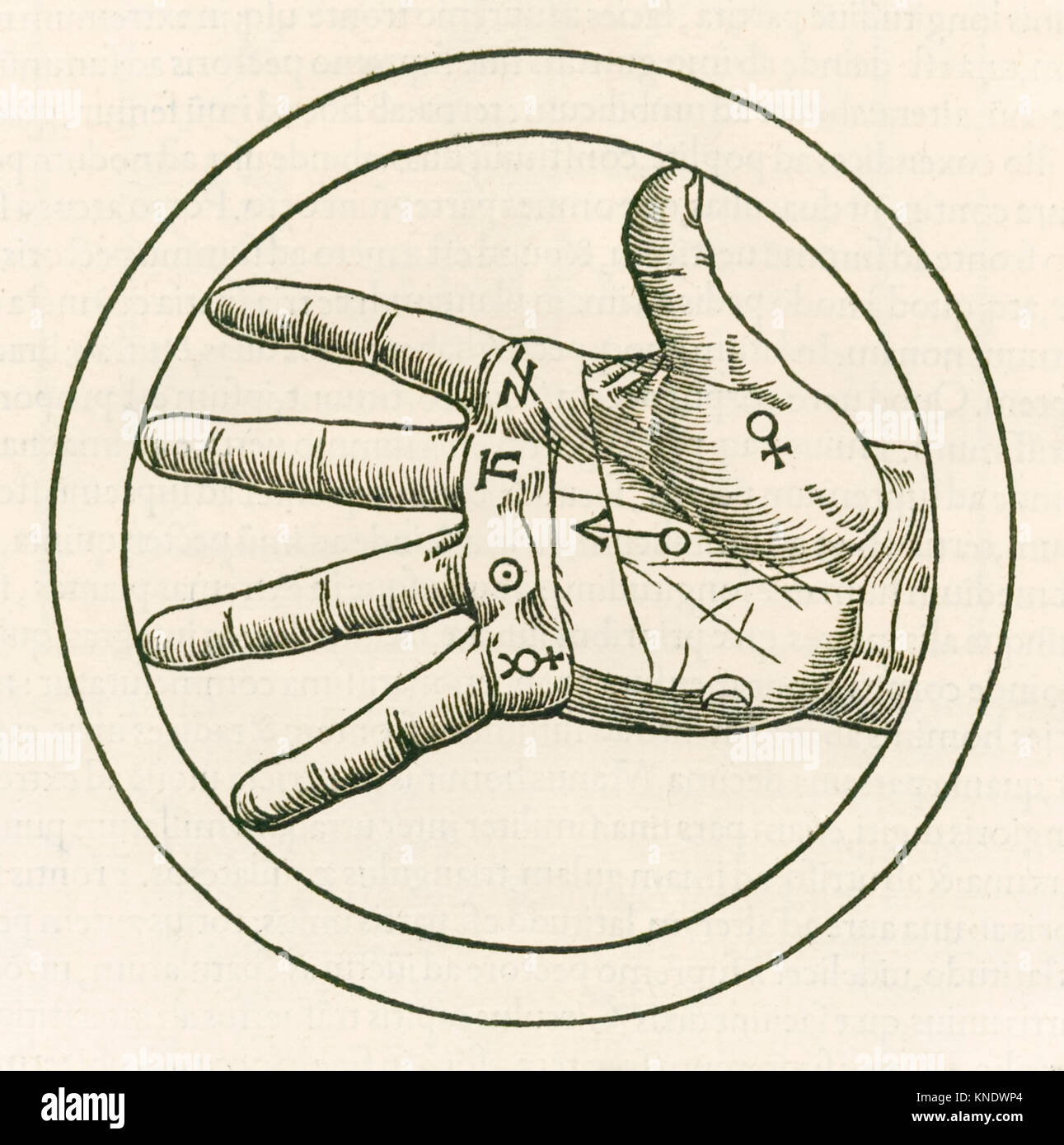 "La mano de la quiromancia" grabado de Heinrich Cornelius Agrippa von Nettesheim (1486-1535) 'De Occulta Philosophia libri tres' (tres libros de la filosofía oculta), publicado en 1533. Ver más información a continuación. Foto de stock