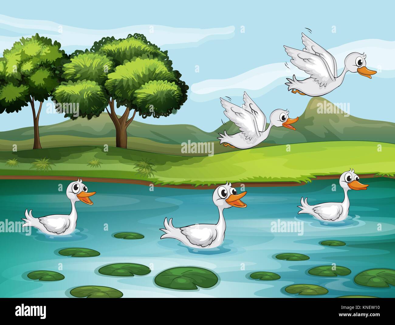 Ilustración de patos y agua en una hermosa naturaleza Imagen Vector de  stock - Alamy