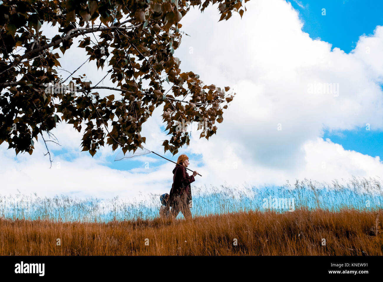 Madre e hijo caminar a través del campo, Ural, Chelyabinsk, Rusia, Europa Foto de stock