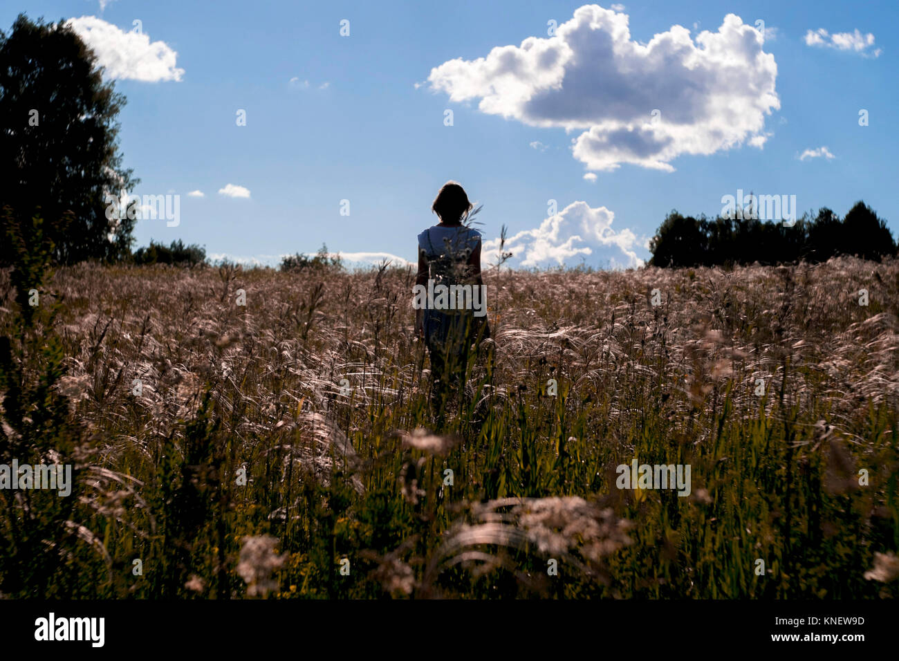 Mujer de pie en el campo, mirando a ver, vista trasera, Ural, Chelyabinsk, Rusia, Europa Foto de stock