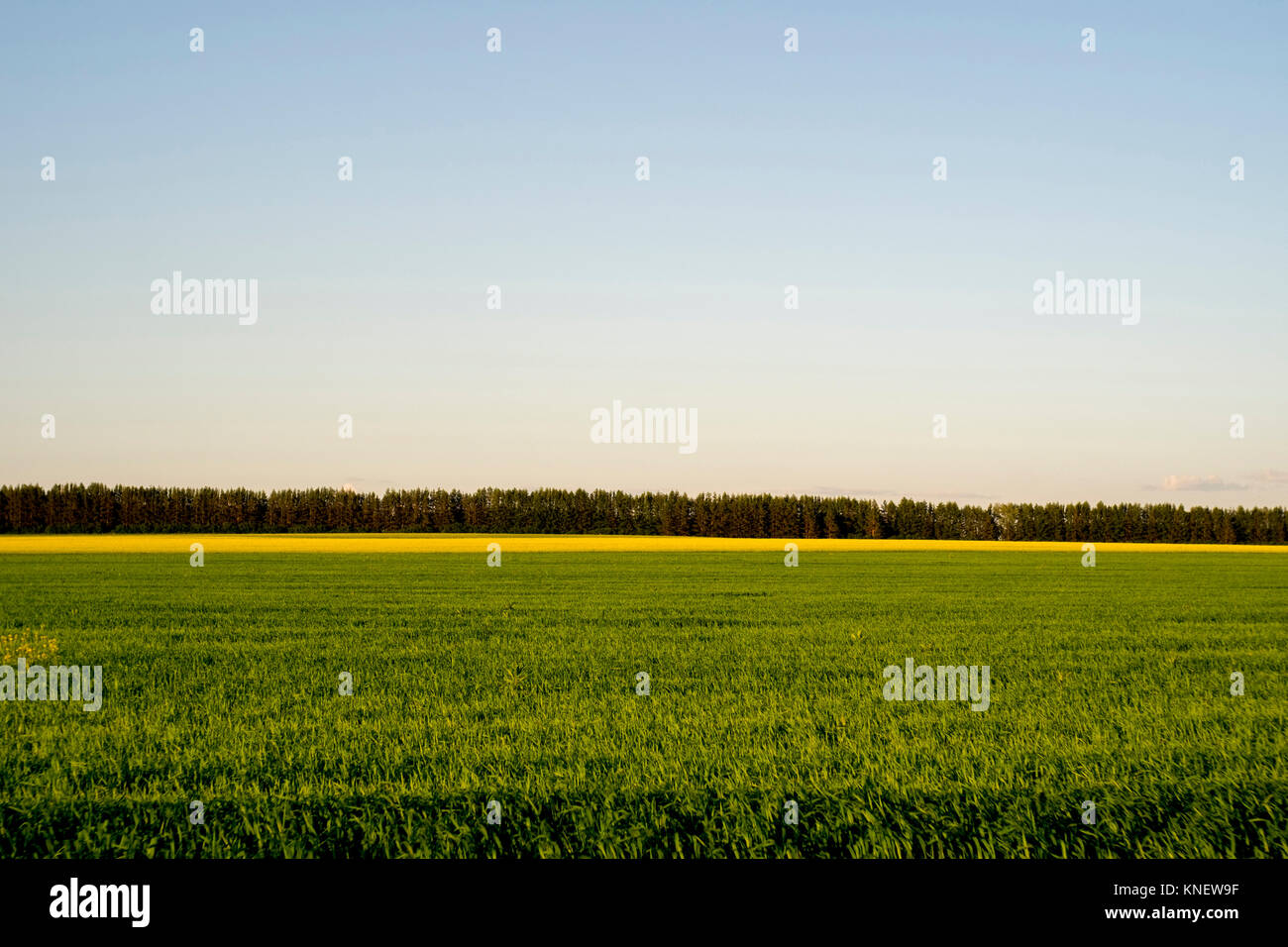 Vista panorámica de los campos, Ural, Chelyabinsk, Rusia, Europa Foto de stock
