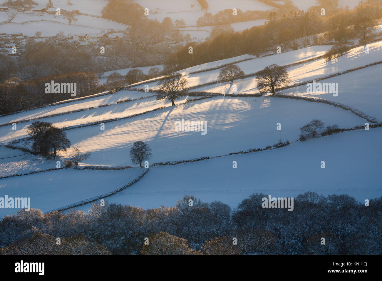 Paxton's Tower. En el Reino Unido. 11 de diciembre de 2017. Mirando a través de una cubierta de nieve landsape al atardecer, árboles desnudos proyecte sombras sobre los campos. Parque Nacional de Brecon Beacons, Gales. Crédito: señala Buckley/Alamy Live News Foto de stock