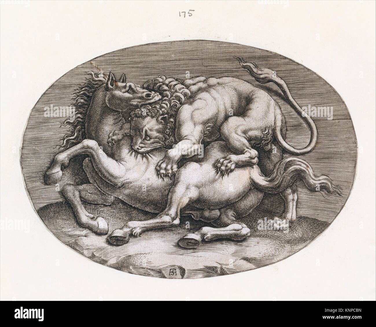 Speculum Romanae Magnificentiae: león atacando a un caballo. Series/Cartera: Speculum Romanae Magnificentiae; Artista: Adamo (Scultori Ghisi) (italiano, Foto de stock