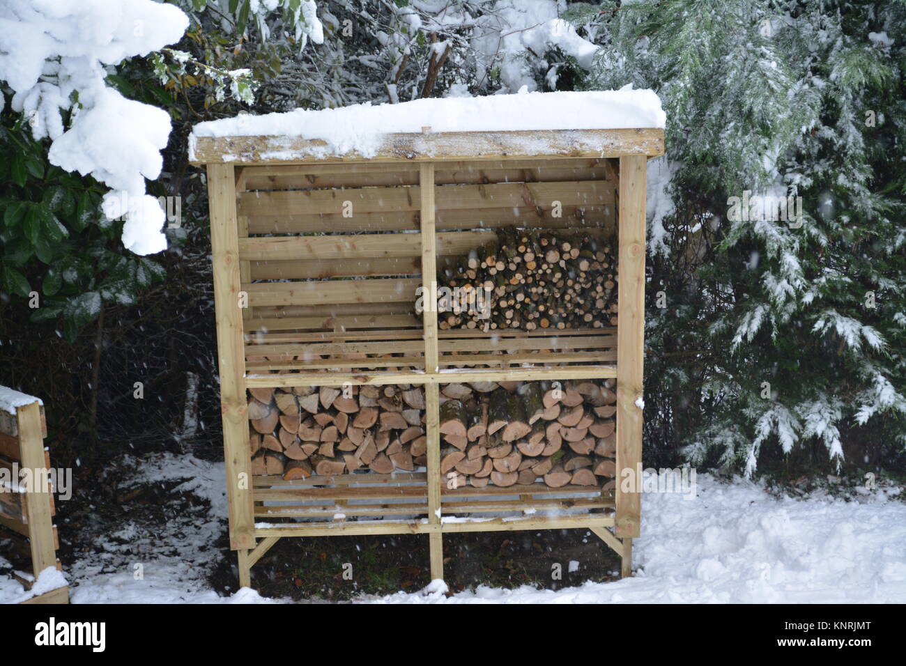 Almacén de registro de madera con un techo de tono mono en el jardín hecho de madera tratada cubierto de nieve con árboles alrededor y llena con algunos registros y suscitando Foto de stock