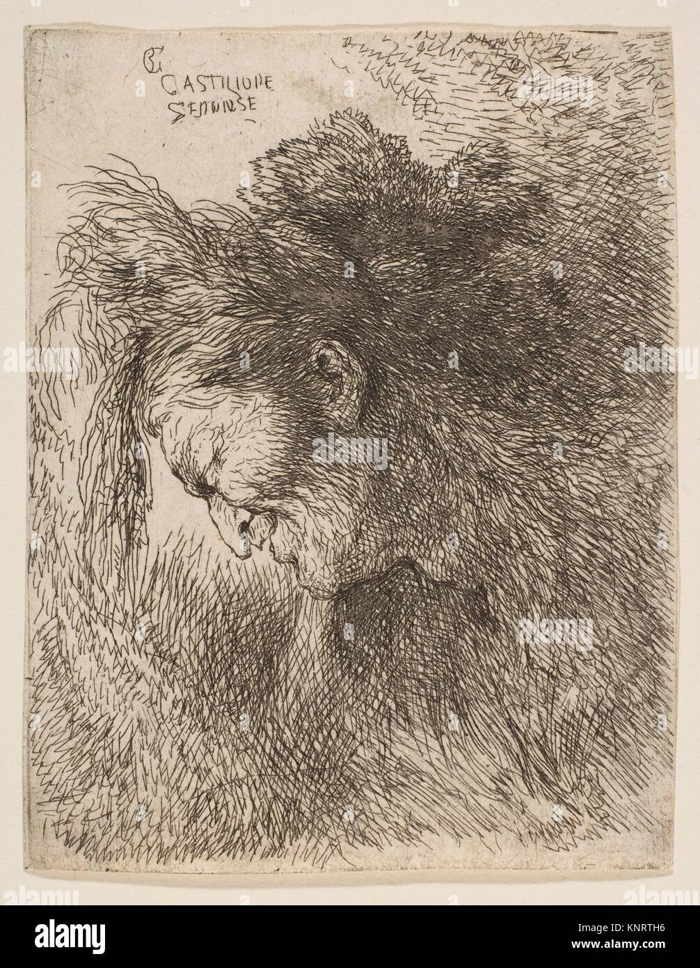 Cabeza de un viejo hombre mirando hacia abajo, hacia la izquierda. Artista: Giovanni Benedetto Castiglione (Il Grechetto) (italiano, Génova Mantua 1609-1664); mediana: Foto de stock