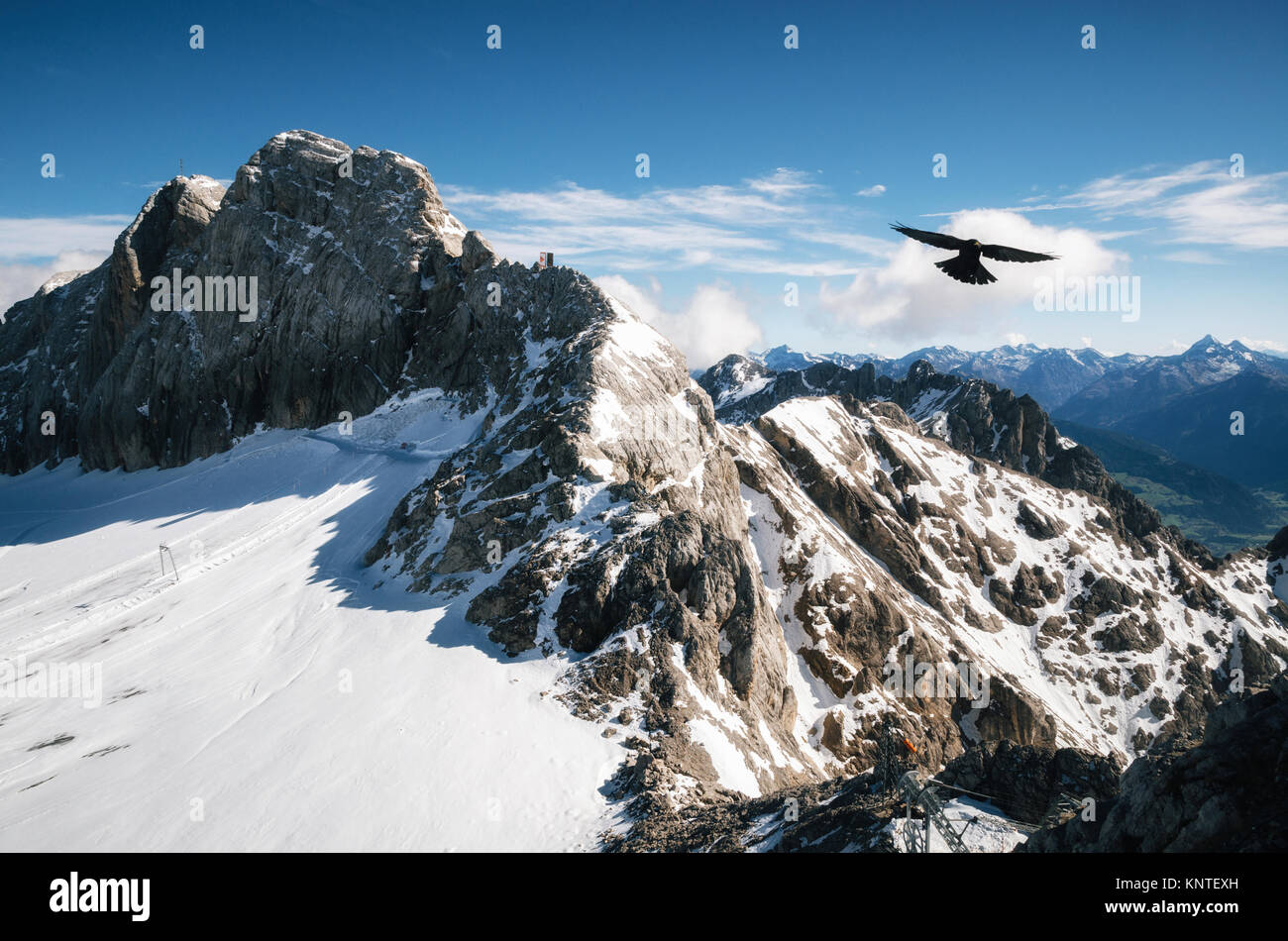 Bird sobrevuela Koppenkarstein Monte y glaciar de Dachstein Sierra, Austria. Foto de stock