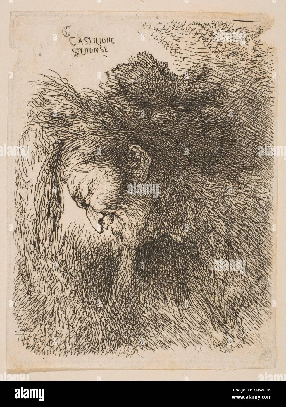 Cabeza de un viejo hombre mirando hacia abajo, hacia la izquierda. Artista: Giovanni Benedetto Castiglione (Il Grechetto) (italiano, Génova Mantua 1609-1664); mediana: Foto de stock