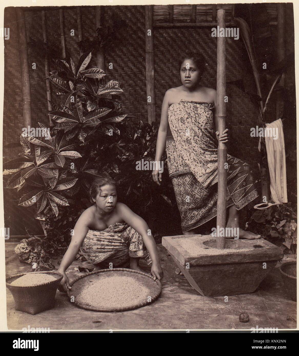 El javanés mujer prepara el arroz. Artista: Desconocido; Fecha: 1860S-70s; Media: albúmina imprimir plata de cristal negativo; Dimensiones: 24,4 x 21,9 cm (9 5/8 Foto de stock
