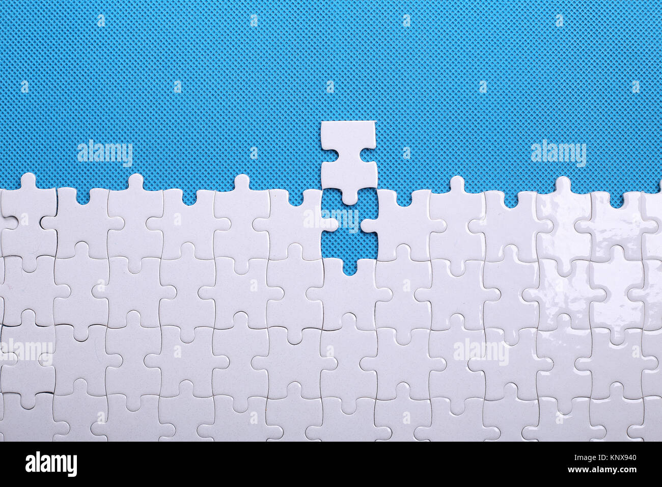 puzzle piezas pequeñas