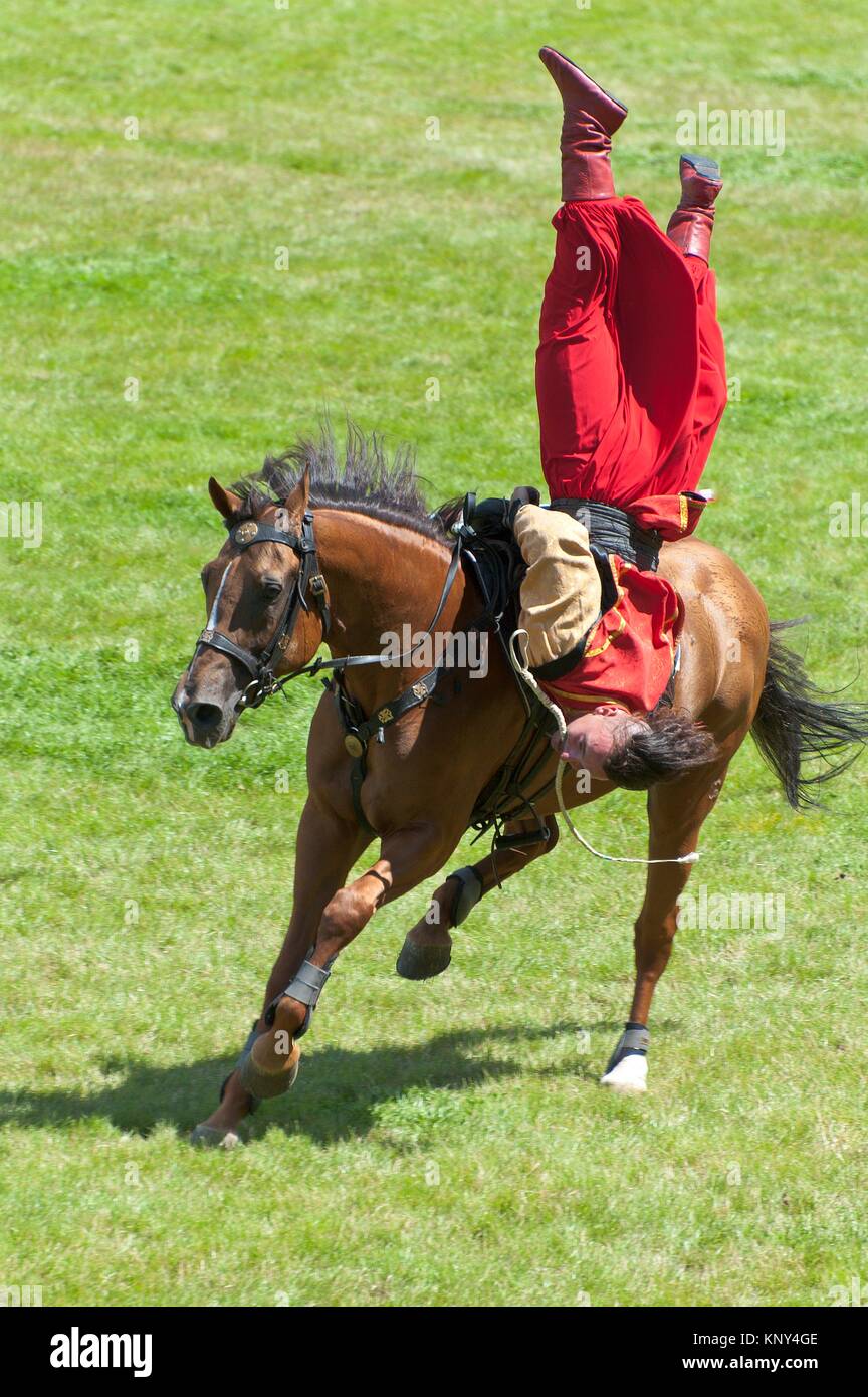 Los Jinetes cosacos realice en el Royal Welsh Show, Llanelwedd, Powys, Gales, Reino Unido. Foto de stock