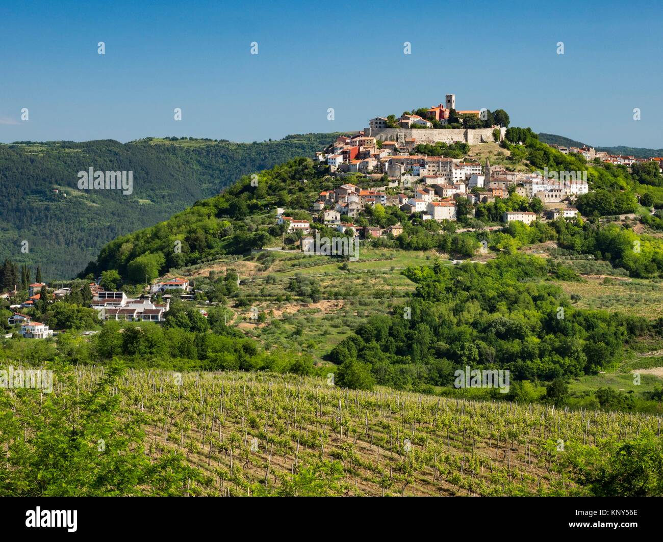 Motovun Croacia Ciudad Medieval. Foto de stock