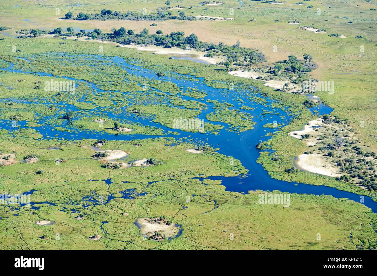 Vista aérea del delta del Okavango con canales, lagunas, pantanos y las islas, Botswana, África. Foto de stock