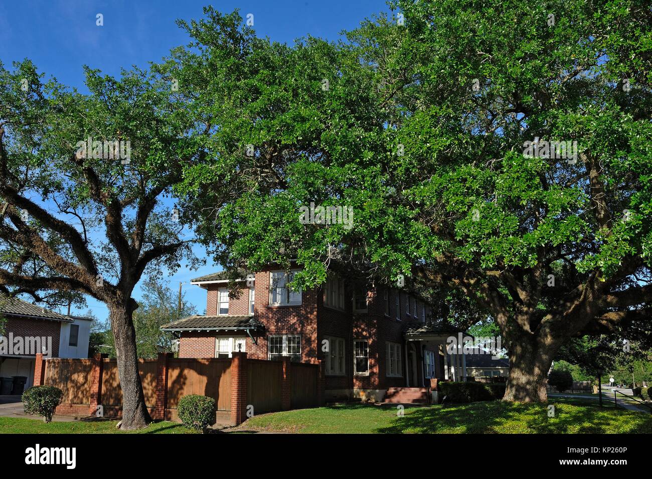 Buena zona residencial boscoso alrededor de Calder Avenue, Beaumont, Texas, Estados Unidos de América, América del Norte Foto de stock