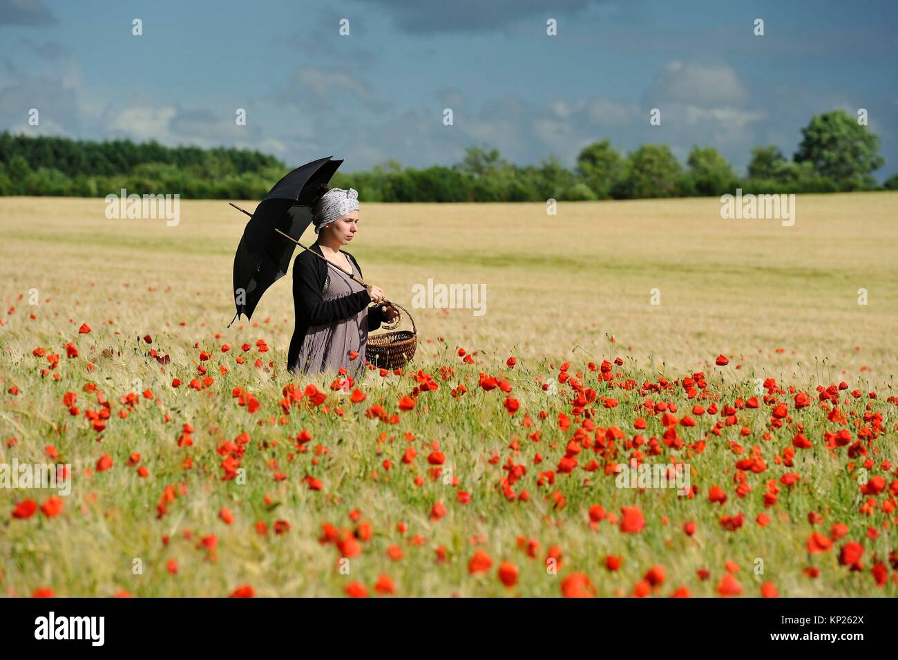 Mujer joven con sombrilla en un campo de cereales salpicado de amapolas, Francia, Europa. Foto de stock