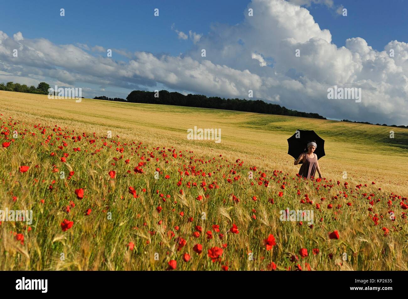 Mujer joven con sombrilla en un campo de cereales salpicado de amapolas, Francia, Europa. Foto de stock