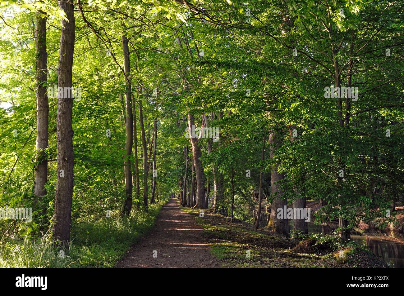 Sendero a orillas del Canal de l'Eure o Canal Louis XIV a Maintenon, Eure-et-Loir, Center-Val departamento de Loira, Francia, Europa. Foto de stock