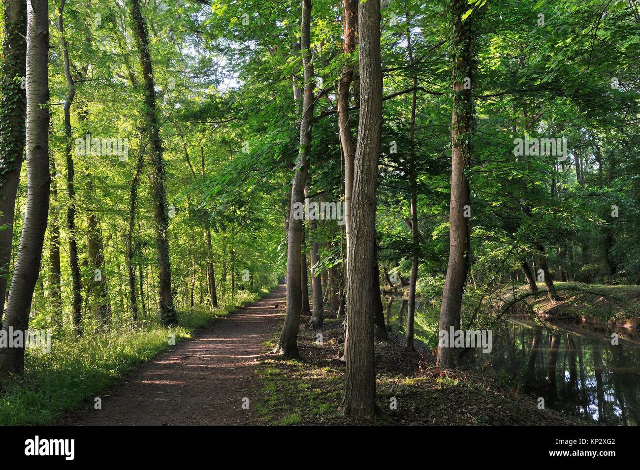 Sendero a orillas del Canal de l'Eure o Canal Louis XIV a Maintenon, Eure-et-Loir, Center-Val departamento de Loira, Francia, Europa. Foto de stock