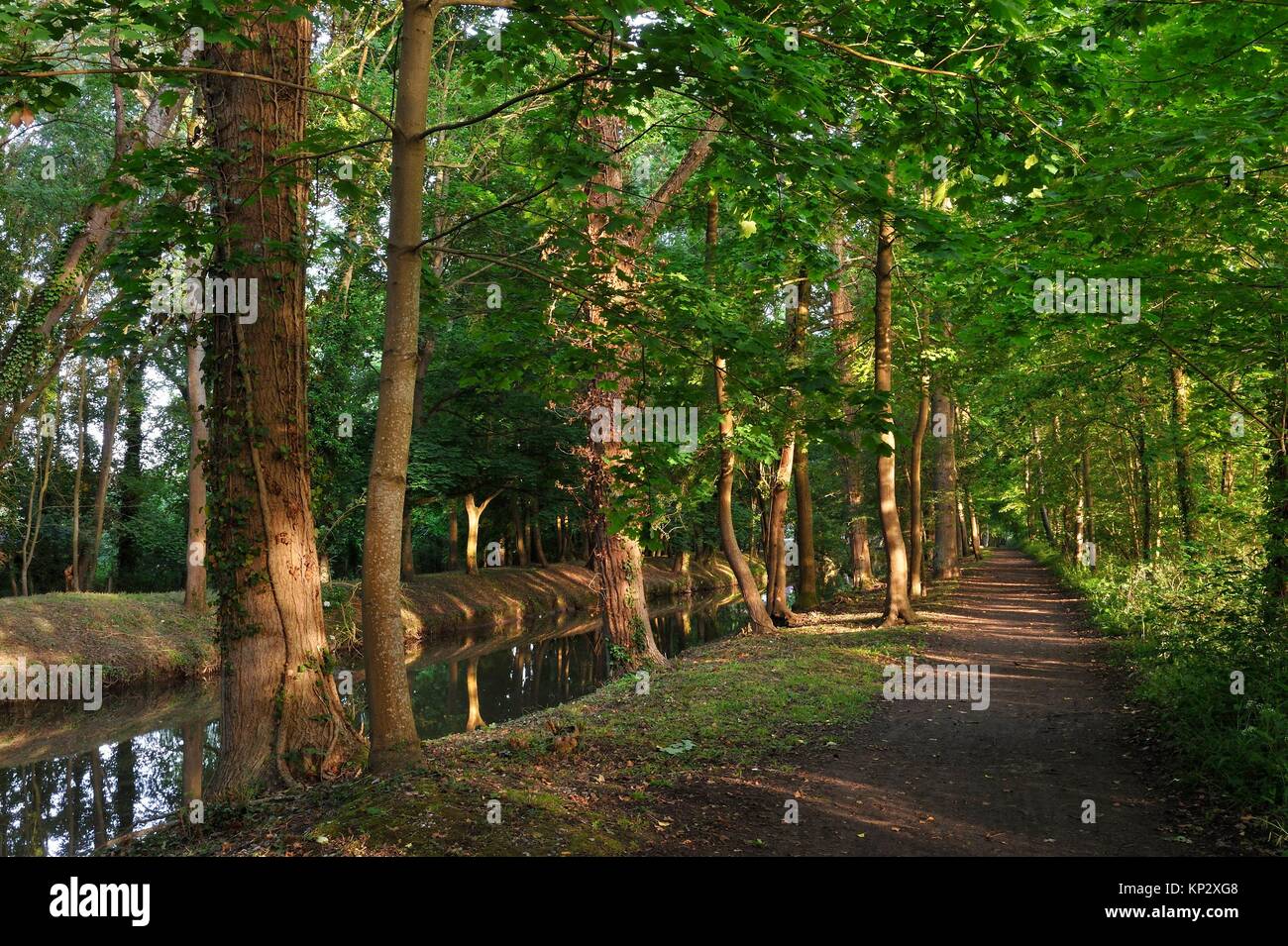 Sendero a orillas del Canal de l'Eure o Canal Louis XIV a Maintenon, Eure-et-Loir, Center-Val departamento de Loira, Francia, Europa. Foto de stock