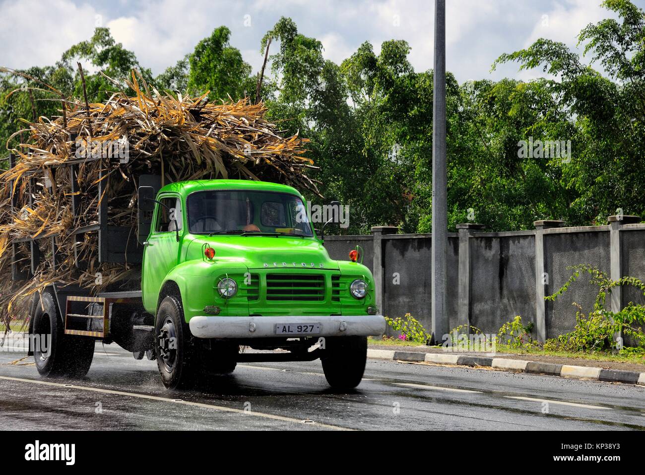 Camión Bedford entregando a la fábrica de azúcar de caña de azúcar, Médine Médine, Black River, Mauricio, África Foto de stock