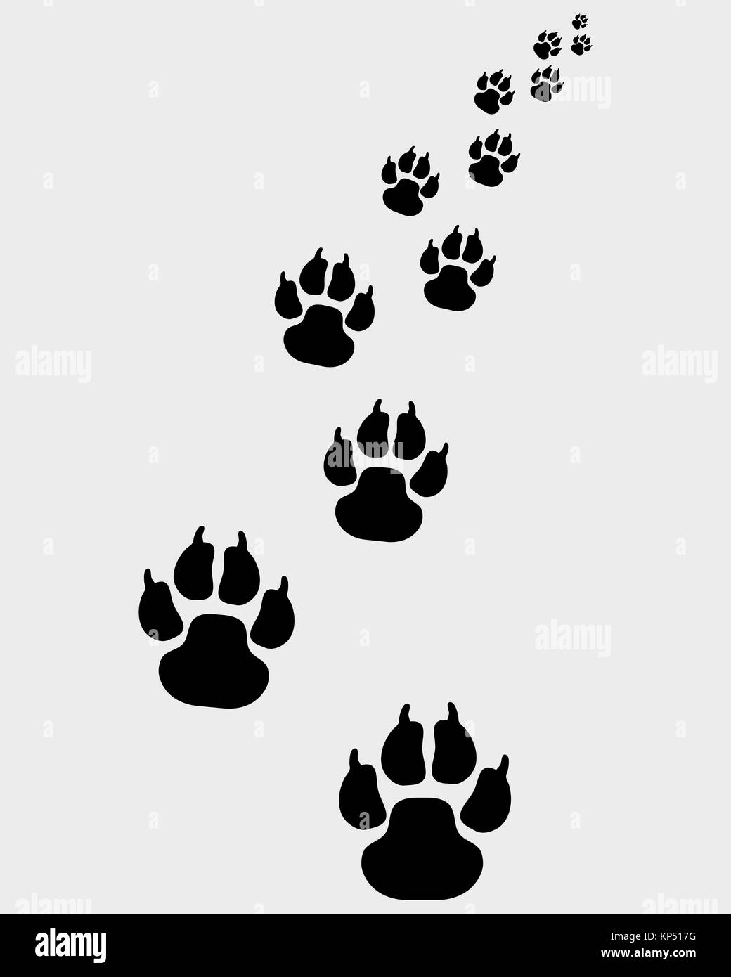 Huellas de pata de perro Imágenes de stock en blanco y negro - Alamy