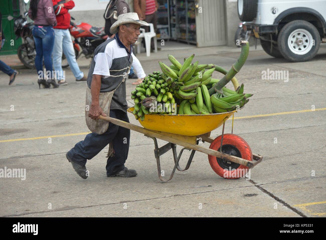 El hombre lleva banano colombiano en el mercado de San Agustín, Colombia, Sur América. Foto de stock