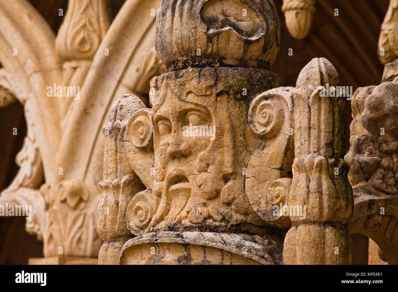 Ornamentación manuelino en el claustro del monasterio de Los Jerónimos, o el monasterio de Hieronymites, distrito de Belem, Lisboa, Portugal, Europa. Foto de stock