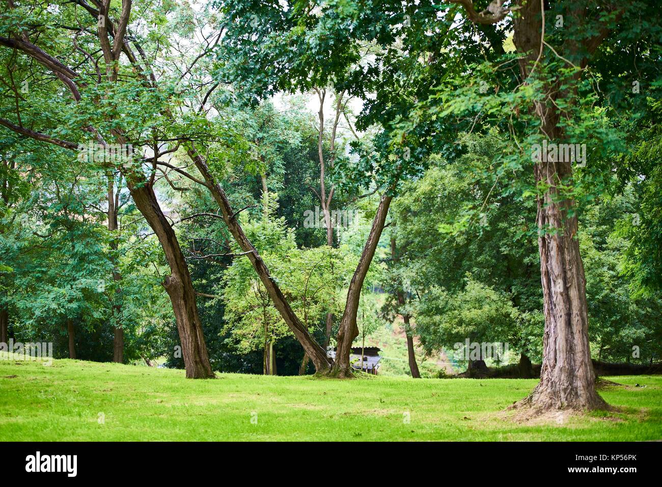 Artxanda Fotos E Imagenes De Stock Alamy