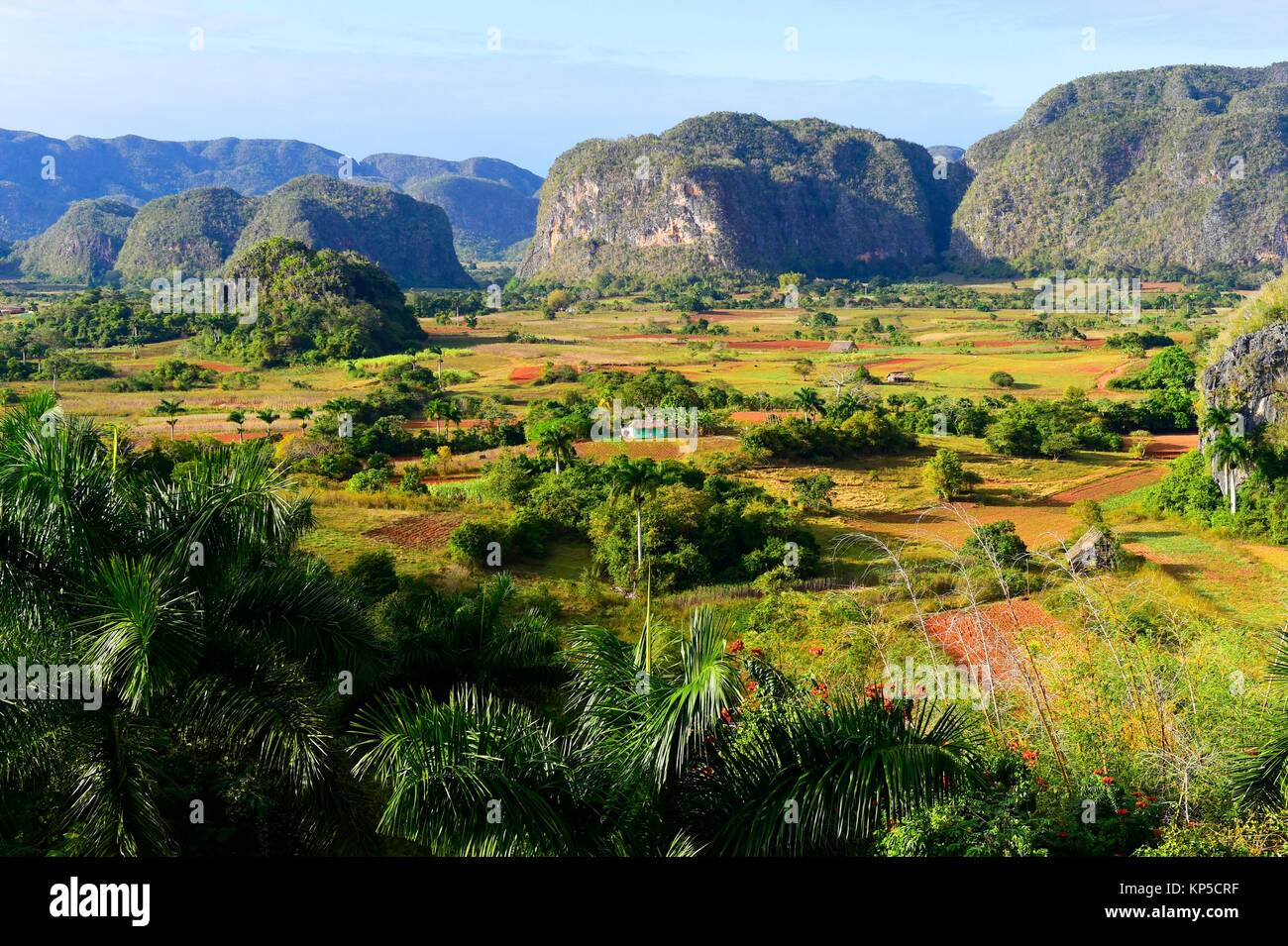 Vista del valle de Viñales, Cuba. Foto de stock