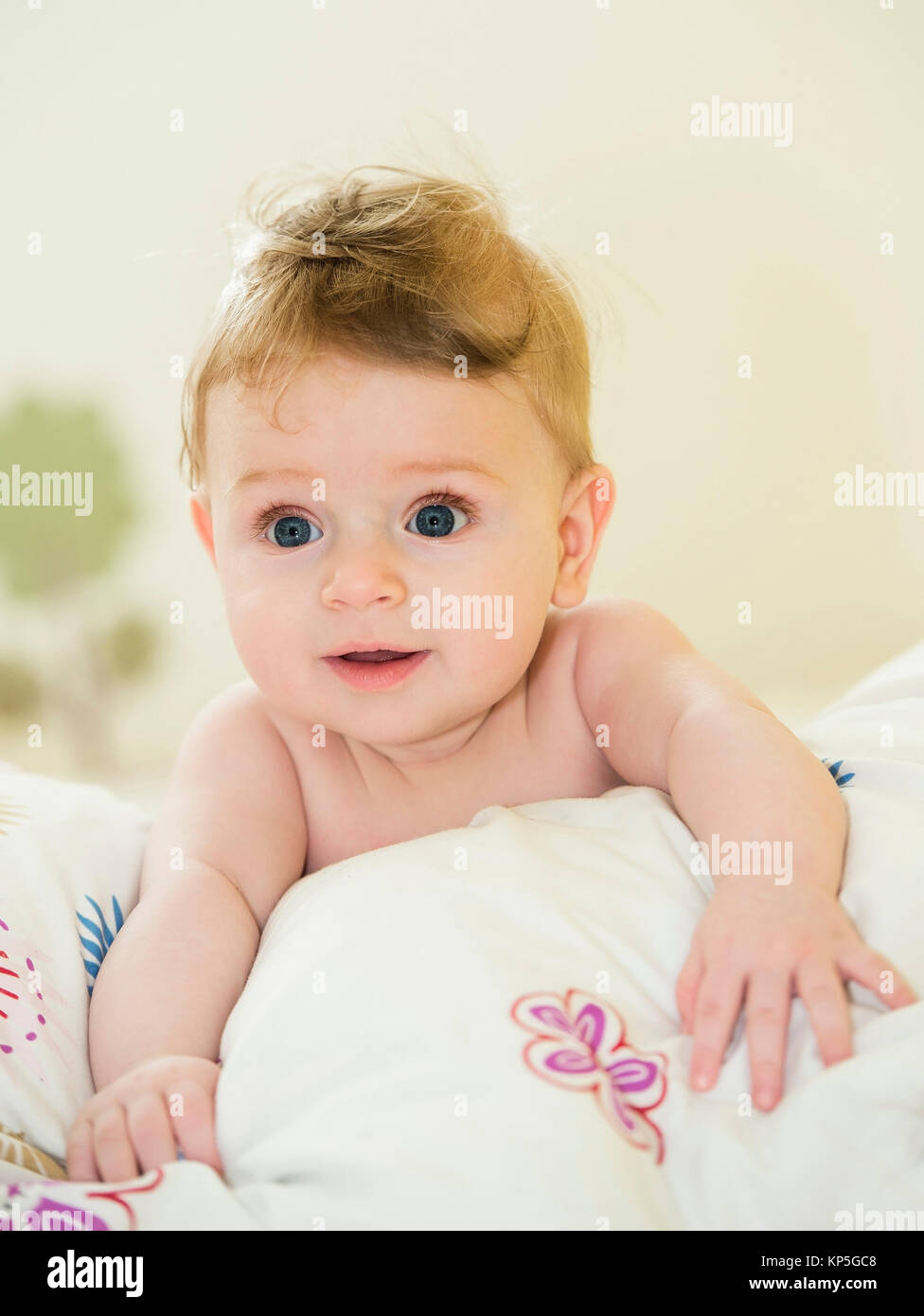 Bub, 6 Monate alt - Little Boy, 6 mes Foto de stock