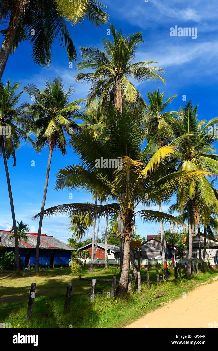 Hecho Det isla en la zona de cuatro mil islas,Si Phan Don,del río Mekong,sur de Laos, el sudeste de Asia. Foto de stock