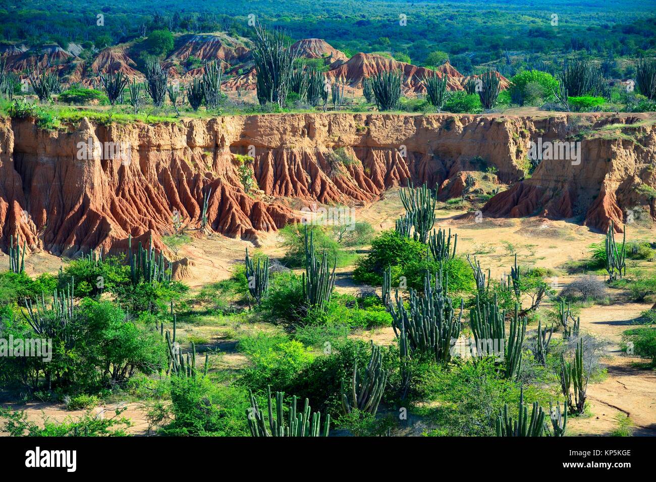 Introducción La formación de piedra de arena roja del desierto de la Tatacoa, en Huila, Colombia. Foto de stock