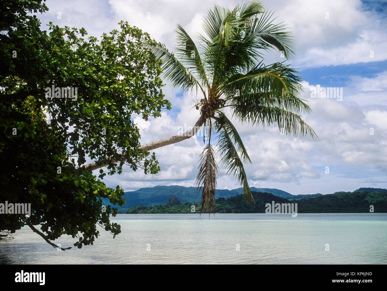 Pohnpei, Estados Federados de Micronesia. Foto de stock