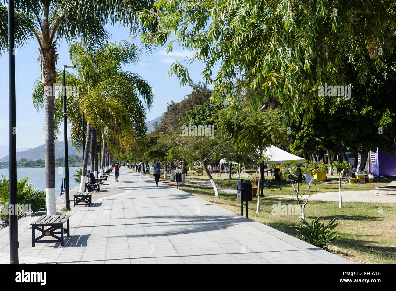 Ajijic jalisco mexico fotografías e imágenes de alta resolución - Alamy