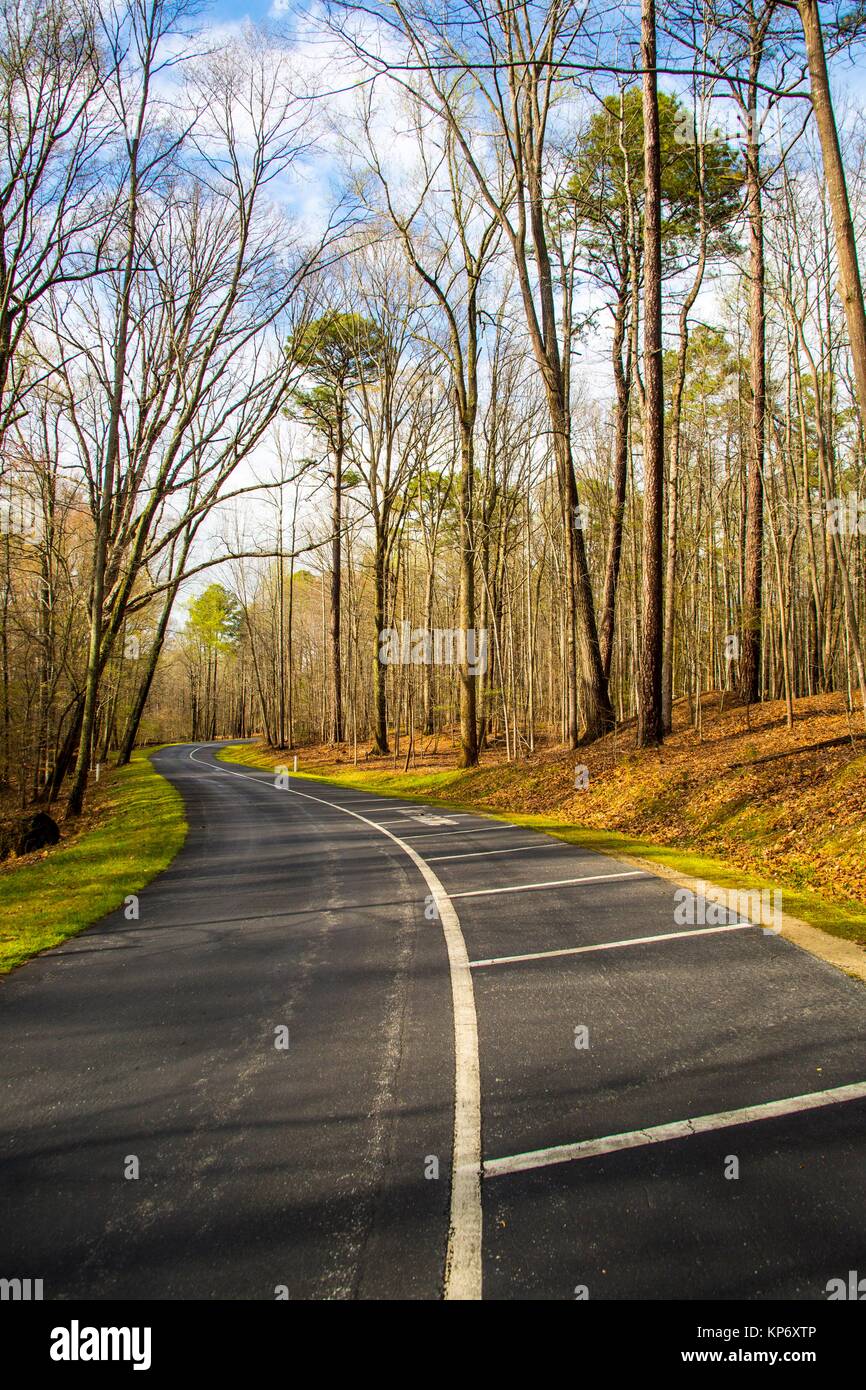 Hermosa línea recta de un país hacia la carretera con árboles de gran altura y espacio de estacionamiento a la izquierda. Foto de stock