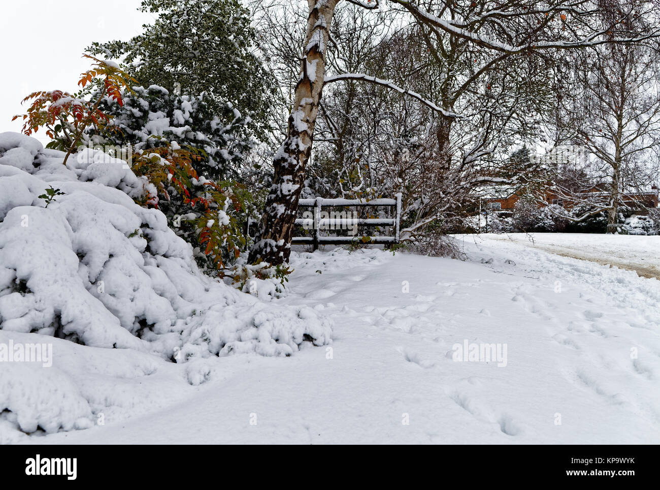 Árboles cubiertos de nieve y coloridos arbustos en pequeño pueblo Foto de stock