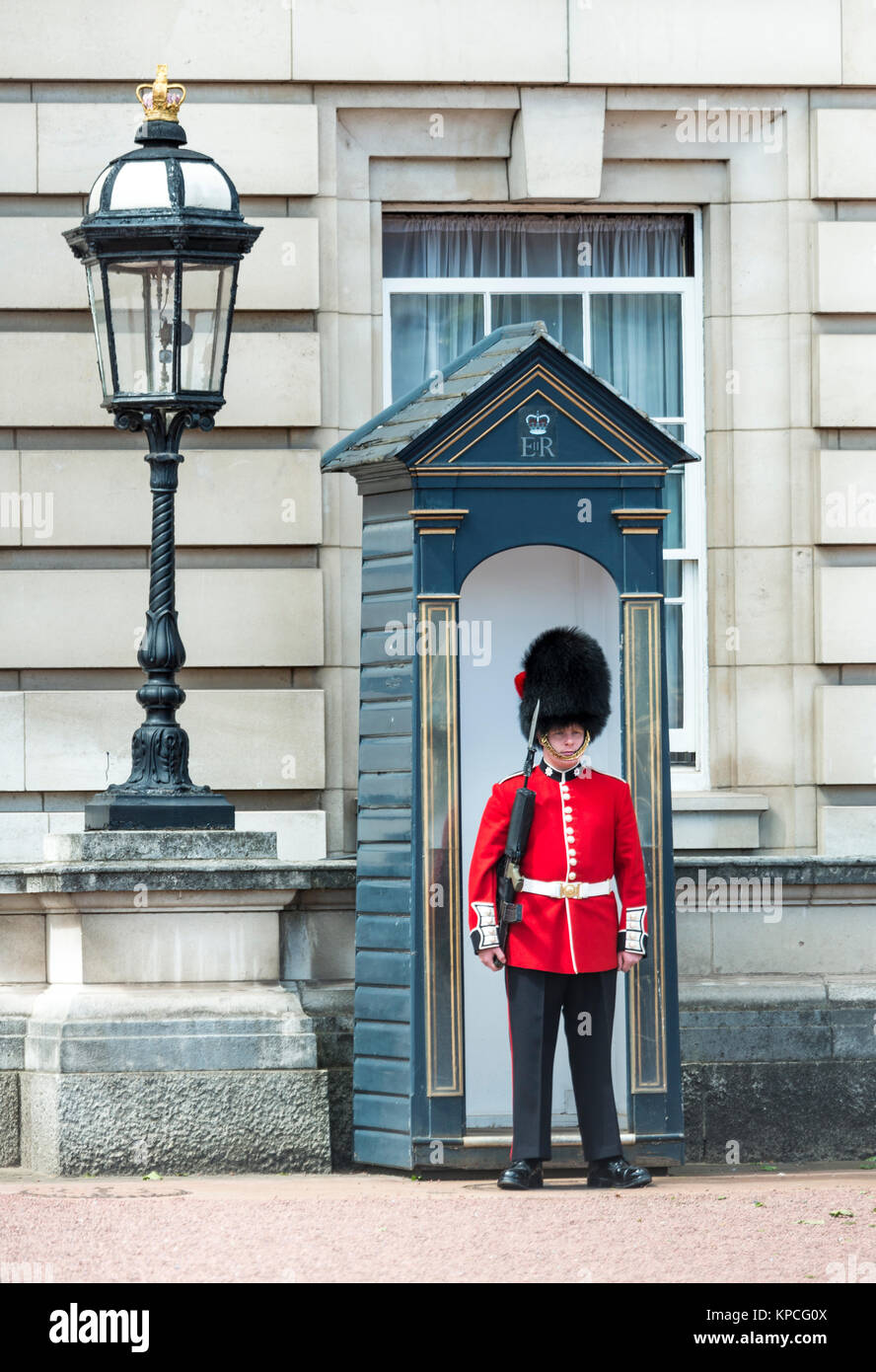 Guardia de seguridad de la Guardia Real con bearskin cap, el Palacio de Buckingham, Londres, Inglaterra, Gran Bretaña Foto de stock