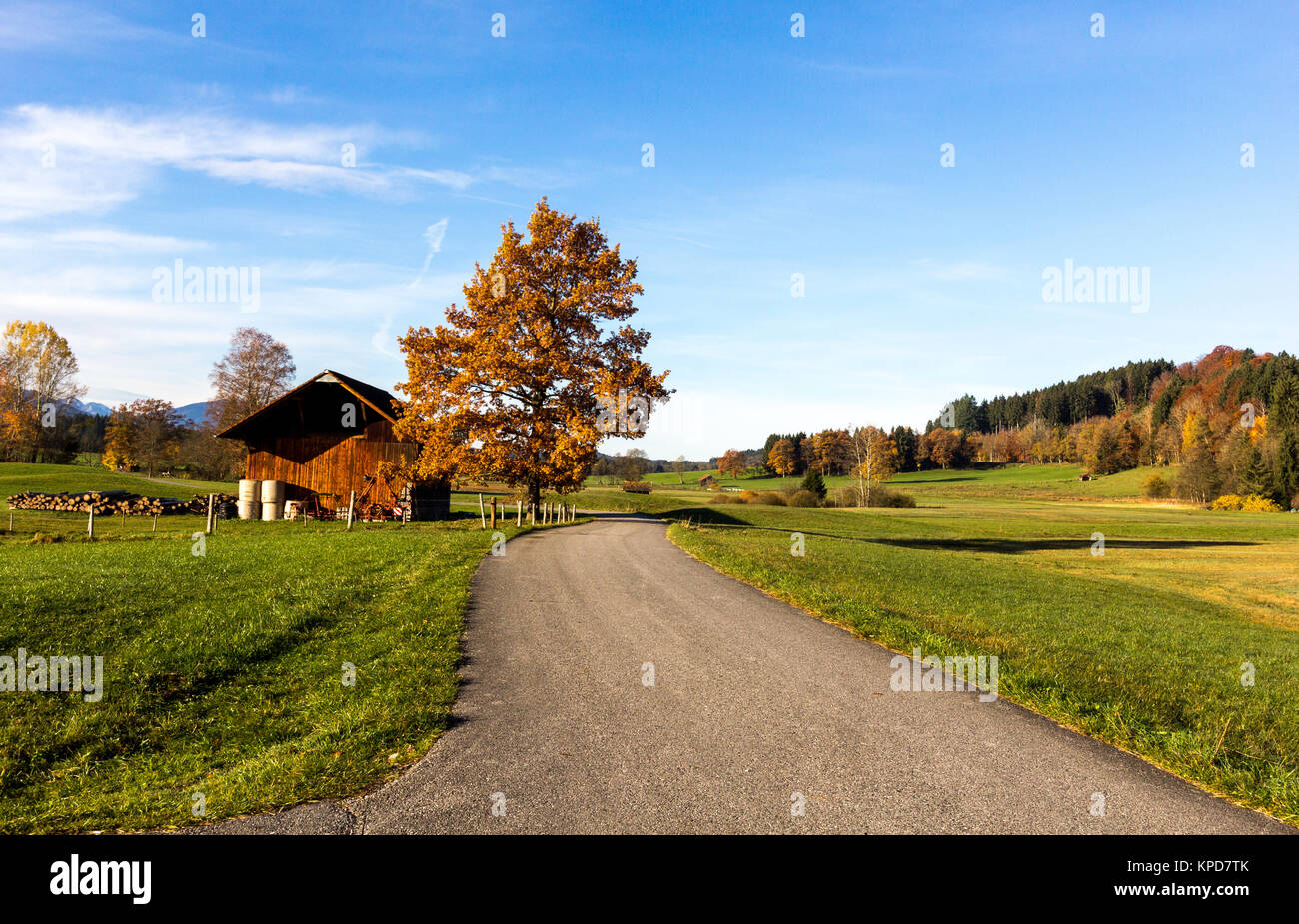 Un tranquilo paseo en paisaje otoñal Foto de stock