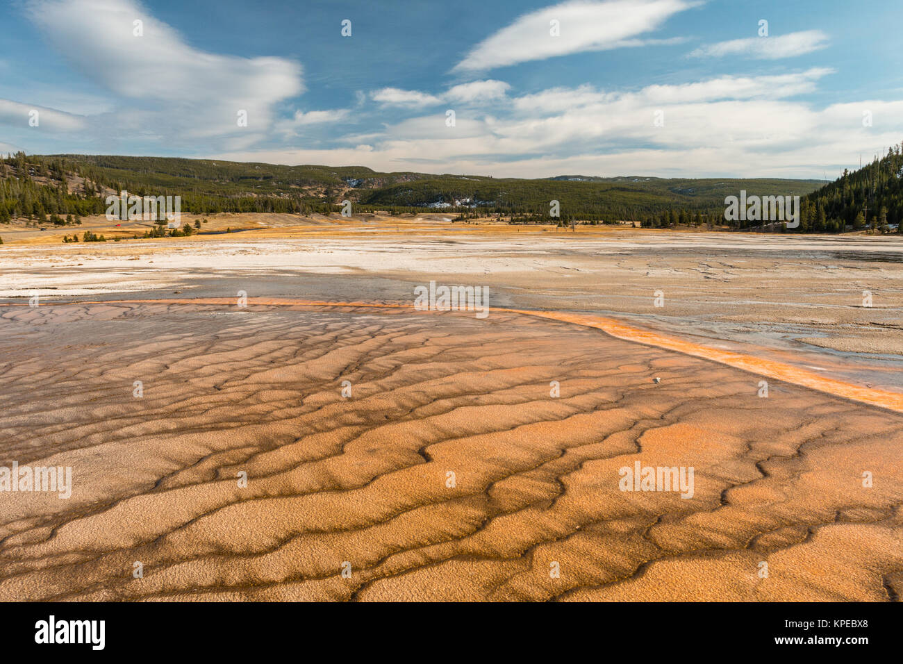 Mat bacteriana en Grand Prismatic Hot Spring en el Parque Nacional Yellowstone, Wyoming Foto de stock