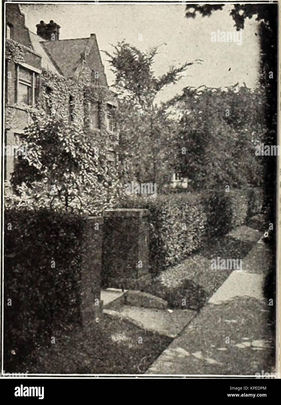 "Revisado, ilustrada y catálogo descriptivo de frutales y ornamentales, arbustos de rosas, bulbos y plantas bulbosas, vides, frutas pequeñas, etc." (1916) Foto de stock