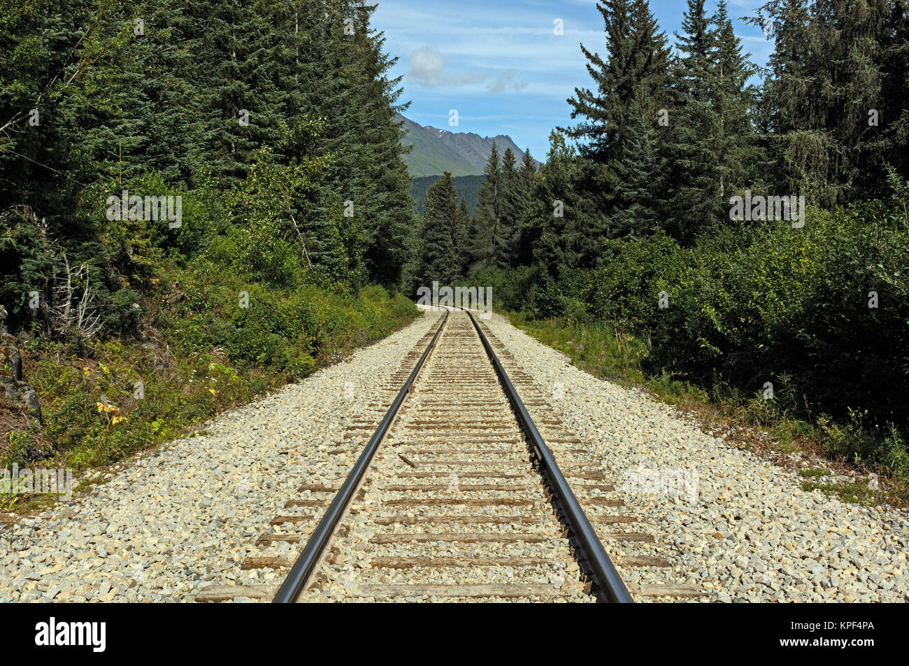 Las vías de ferrocarril en un remoto desierto Foto de stock