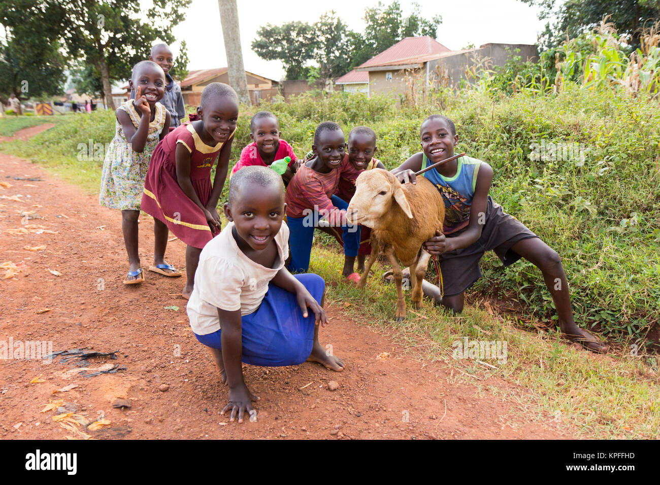 Lugazi, Uganda. El 15 de junio de 2017. Riendo los niños ugandeses con una oveja. Foto de stock