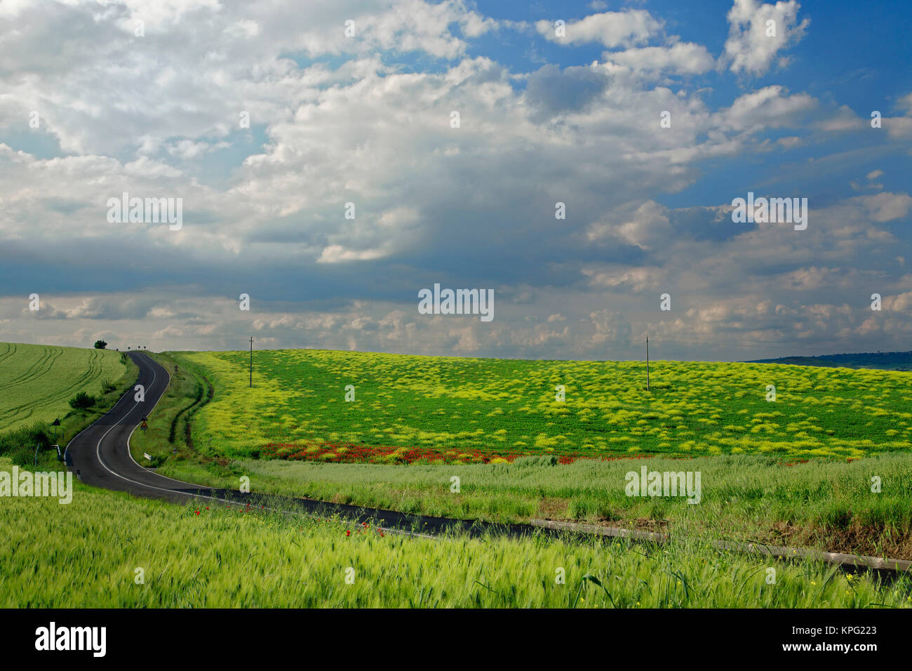 Carretera serpenteante a través de campos agrícolas, Toscana, Italia Foto de stock