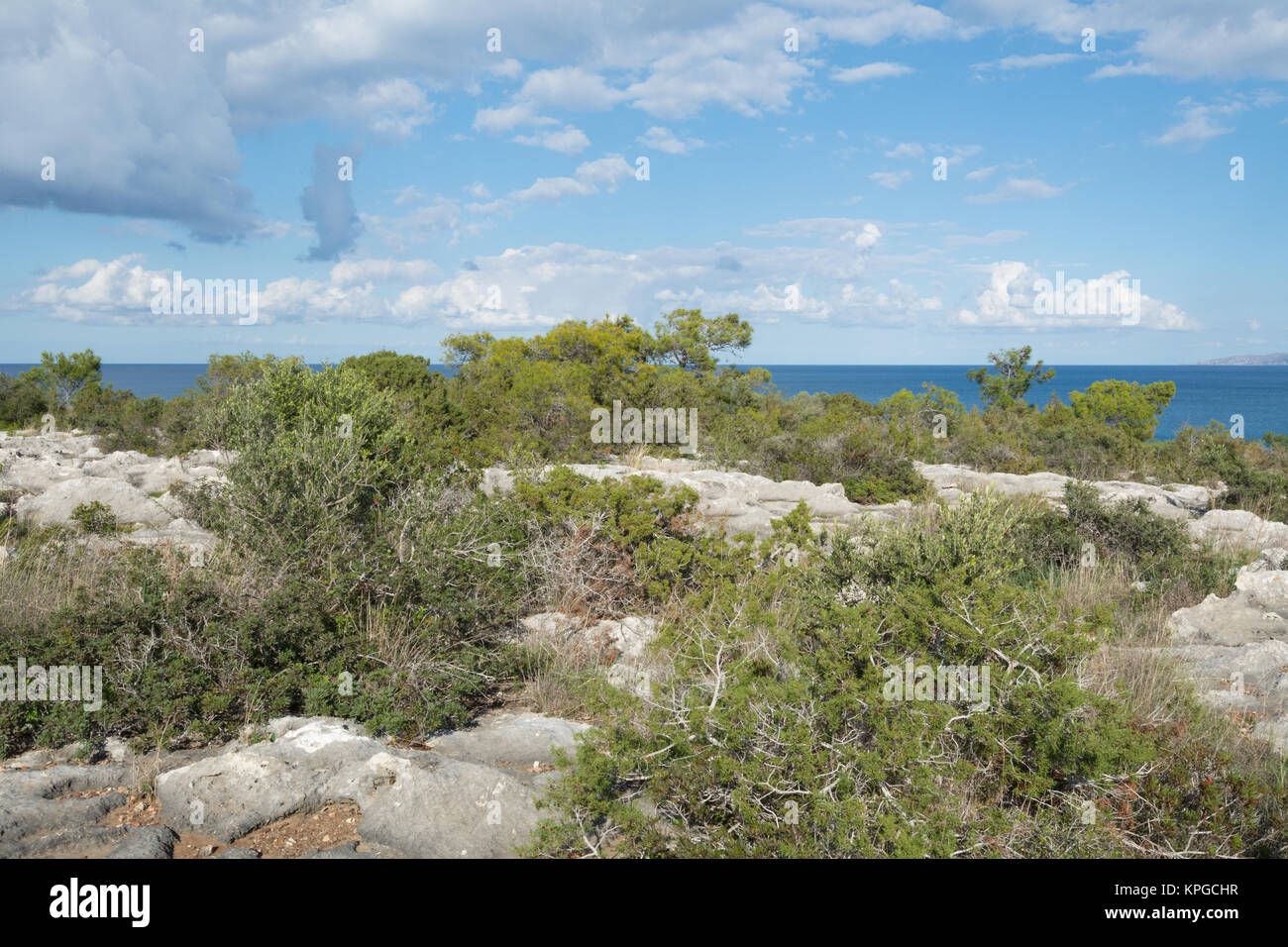 Pavimento de piedra caliza paisaje con piscinas de rocas y plantas verdes cerca del mar cerca de Latchi en Chipre Foto de stock