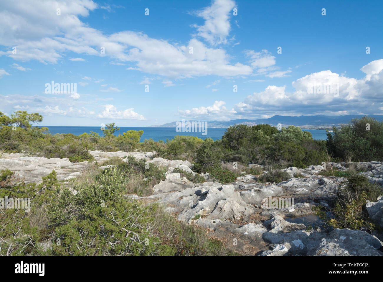 Pavimento de piedra caliza paisaje con piscinas de rocas y plantas verdes cerca del mar cerca de Latchi en Chipre Foto de stock