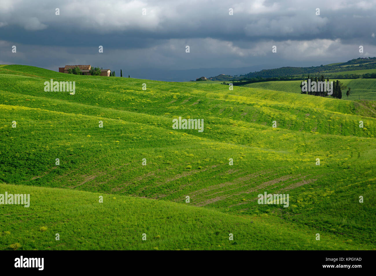 Agrícola región de Toscana, Italia Foto de stock
