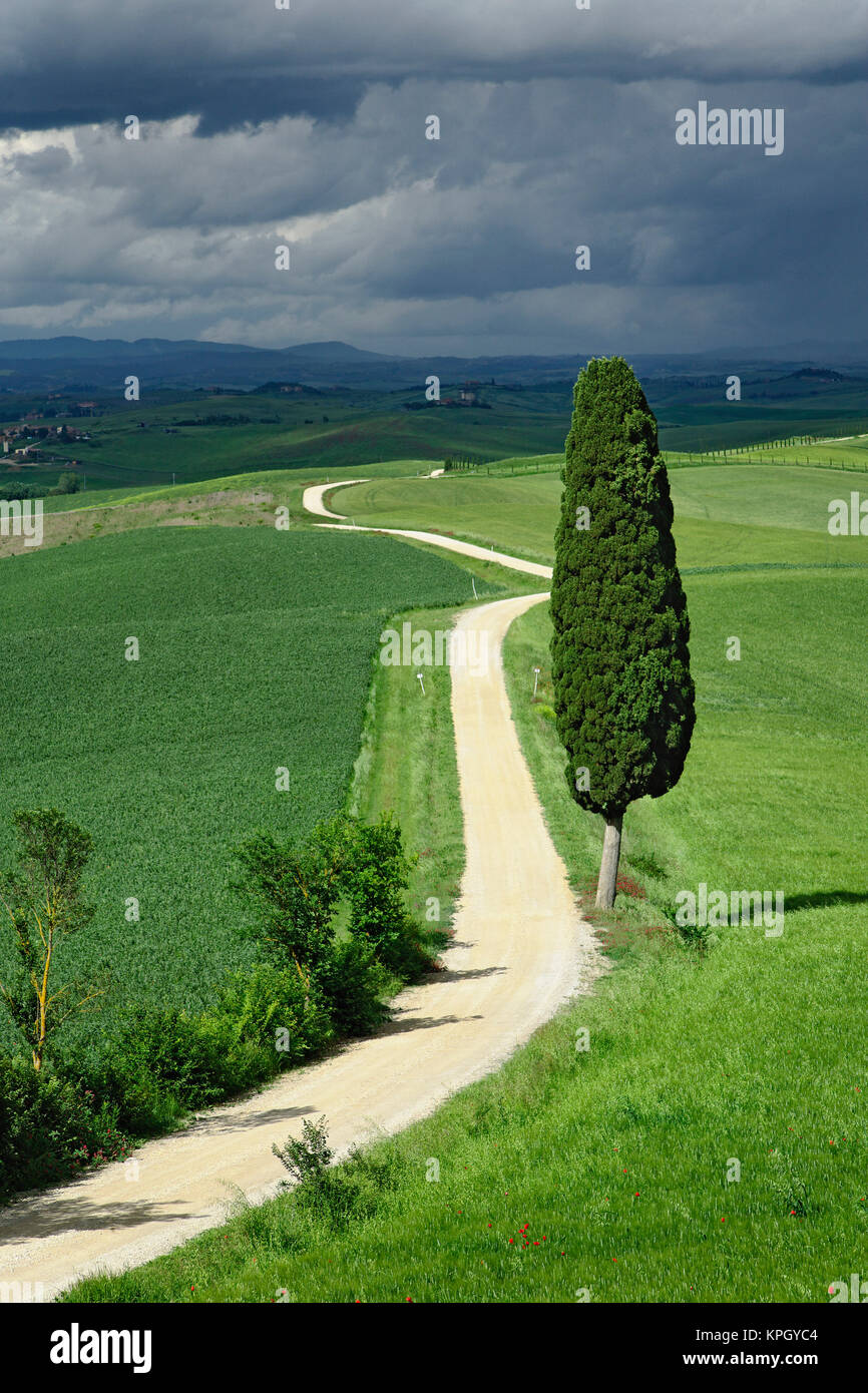 A través de la sinuosa carretera agrícola región de la Toscana, con nubes de tormenta, Italia. Foto de stock