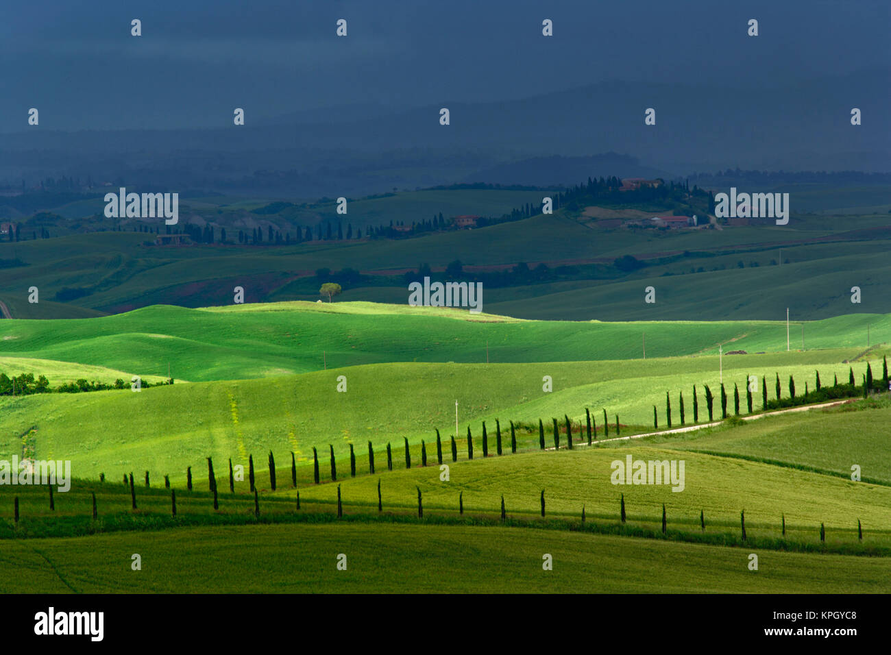 Los campos de granja agrícola de laminación y tonos sunlight, Toscana, Italia. Foto de stock